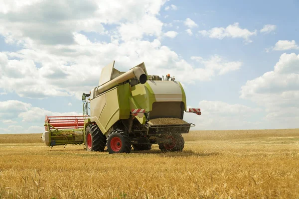 Colheitadeira de trabalho em um campo de trigo. Fundo agrícola . — Fotografia de Stock