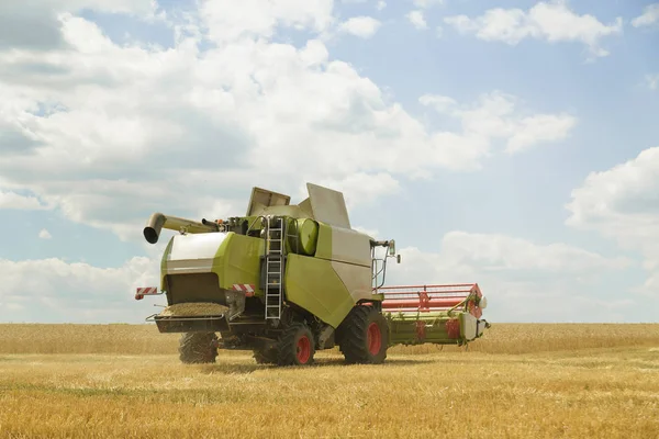 Çalışma biçerdöver buğday alanında birleştirir. Tarım arka plan.