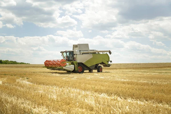 Çalışma biçerdöver buğday alanında birleştirir. Tarım arka plan.