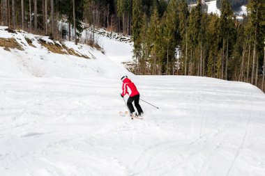 ormanda yamaç aşağı kayakçı Kayak