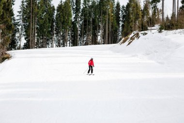 ormanda yamaç aşağı kayakçı Kayak