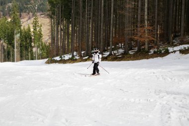 ormanda yamaç aşağı kayakçı Kayak