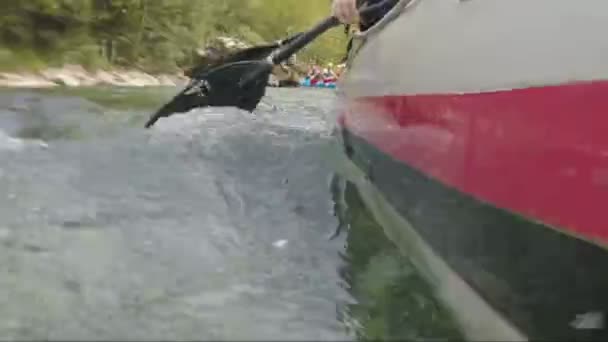 여름, 몬테네그로에 타 라 강에서 래프팅. — 비디오