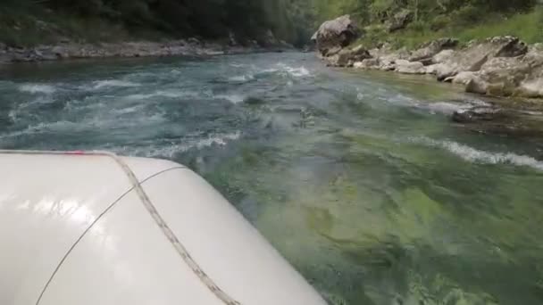 Yaz aylarında, Karadağ Tara nehirde rafting. — Stok video