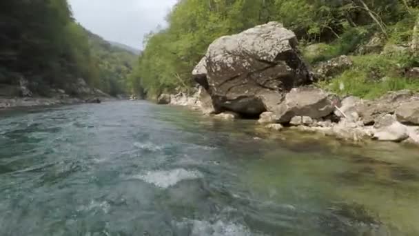 Uitzicht op de rivier berg Tara — Stockvideo