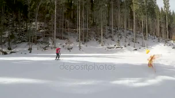 Esquiadores esquiando en pistas — Vídeos de Stock