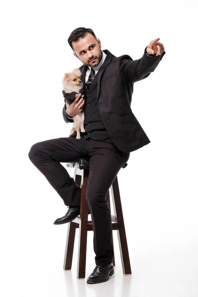 Hombre en traje negro sostiene perro pomerania — Foto de Stock