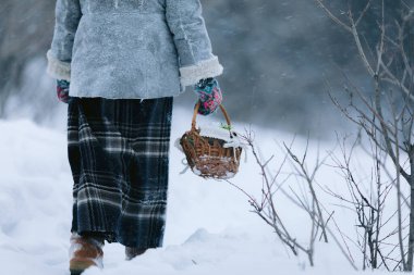 sepet ile küçük kız gider ve kışın ilk çiçekler orman karda altında arar