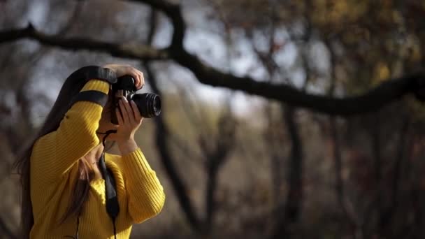 Kvinna fotograf tar bilder med kameran. — Stockvideo