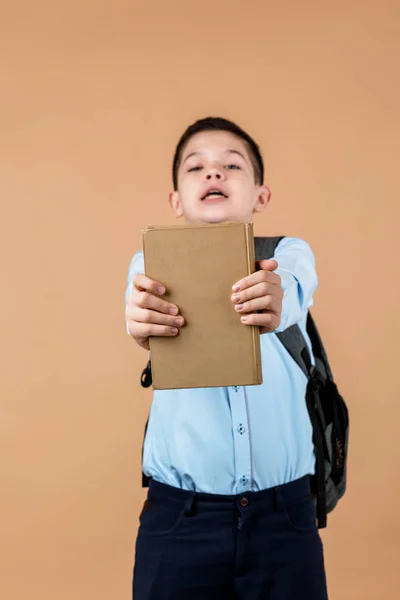 Kleine vrolijke school jongen met rugzak geven boek — Stockfoto