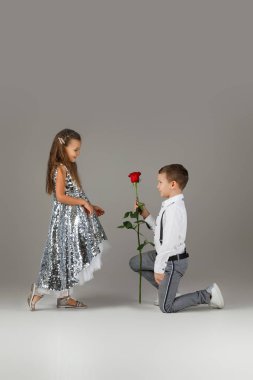 Küçük çocuk, kızına kırmızı bir gül veriyor.