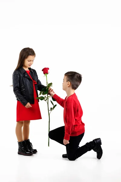 Liten pojke ger en röd ros till barn flicka — Stockfoto