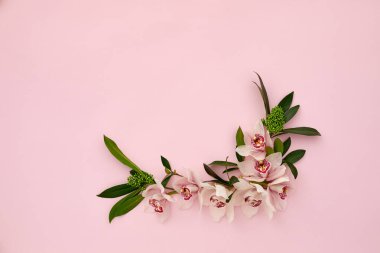 Çiçek kompozisyonu. Orkide çiçekleri çerçevesi