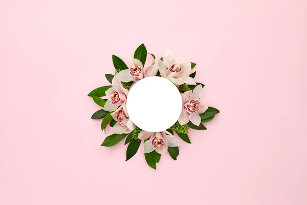 White round frame decorated with green leaves — Stock Photo, Image