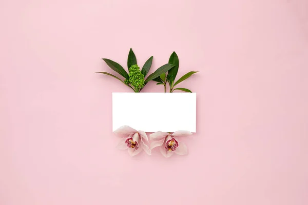 Layout made with green leaves and orchid flowers — Stock Photo, Image