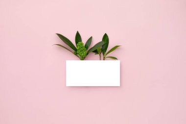 Yeşil yapraklar ve orkide çiçeklerinden yapılmış bir düzen