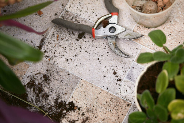 садовые секаторы и горшки
.