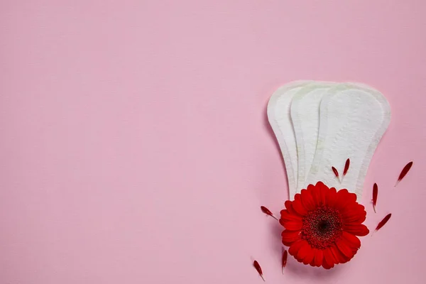 Almofadas menstruais e flor vermelha — Fotografia de Stock