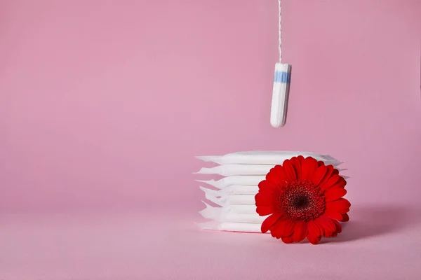 Tampões de algodão higiênico menstrual, almofadas e flor vermelha — Fotografia de Stock