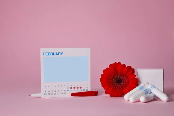 Tampones sanitarios menstruales, caja y flor roja —  Fotos de Stock