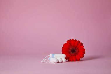 Adet pedleri ve kırmızı çiçek pembe arka planda, üst tarafta. Boşluğu kopyala