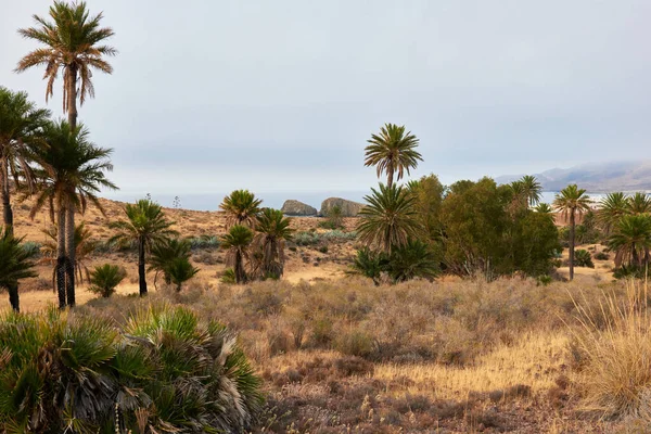 Типичный Пейзаж Пустыни Альмерия Испания Стоковая Картинка