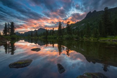 Taiga yazı sabahı. Ergaki, Rusya