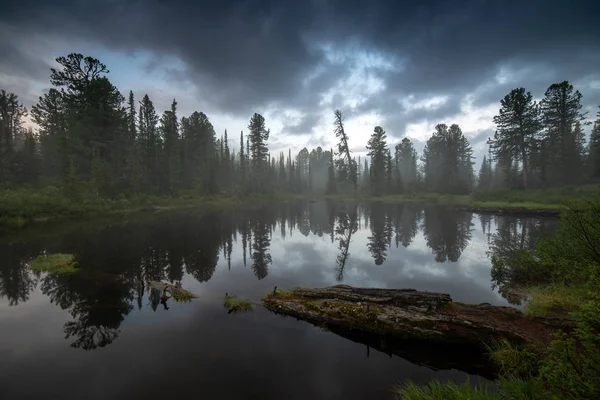 Taiga yazı sabahı. Ergaki, Rusya