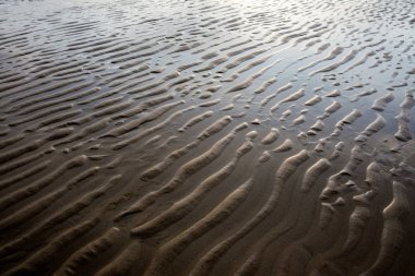 Yakın plan kahverengi kumsal arkaplanı