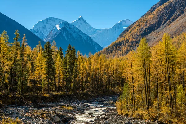 Montagna Belukha in autunno — Foto Stock