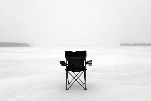 Chaise noire se tient dans la neige — Photo