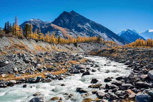 Mountain river Akkem in the Altai in autumn — Stok fotoğraf