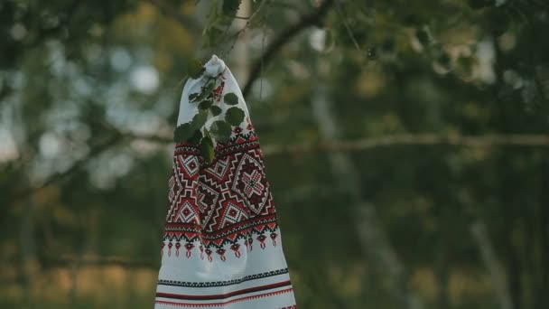 Toallas bordadas colgando de una rama de árbol — Vídeos de Stock