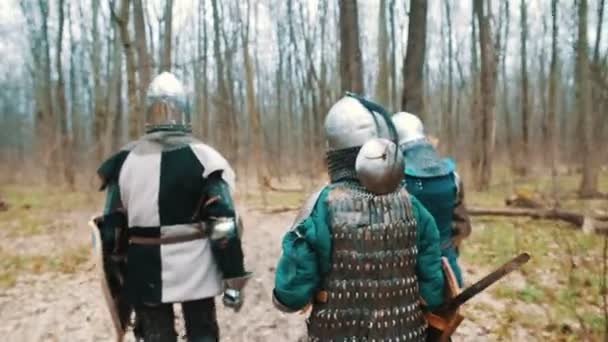 Рыцари ходят по лесу — стоковое видео