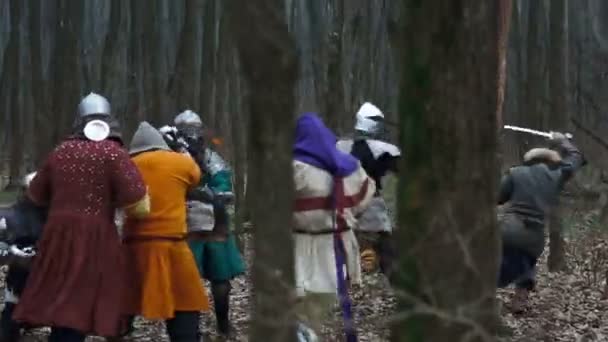 The knights fight in the forest — Stock Video