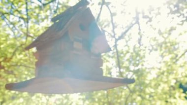 Ağaçta asılı kuşlar için ahşap ev.