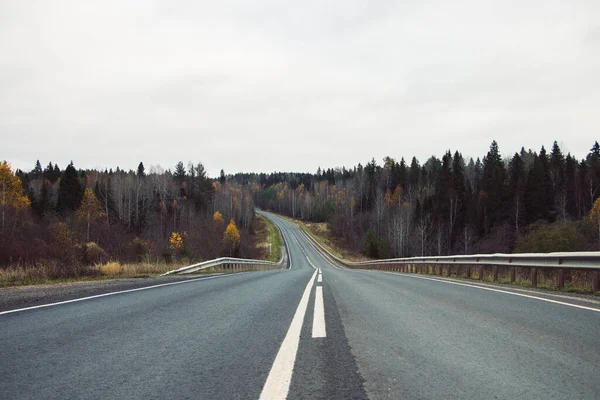 Pitkä Tyhjä Tie Syksyllä Metsässä — kuvapankkivalokuva