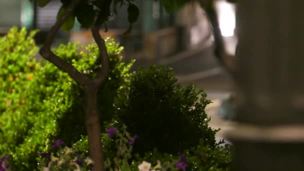 Fényszórók Amalfi Éjszakai Utcáin — Stock videók