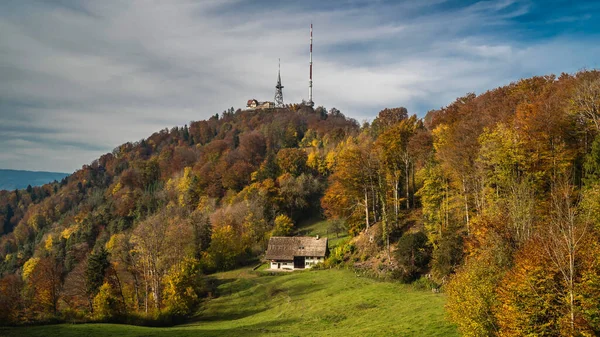 İsviçre 'nin Zürih kentindeki Uetliberg dağında sonbahar ormanları