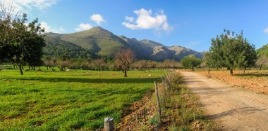 Mallorca İspanya 'daki Galatzo dağına giden yol.