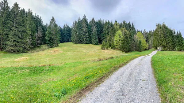 İsviçre 'deki Appenzell kantonunda bir çayır.