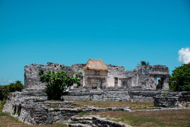 Meksika 'daki bazı Maya harabelerinin fotoğrafı.