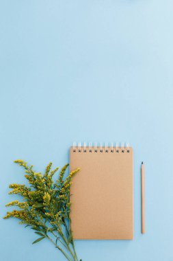 Boş kahverengi klasik defter, yapraklar, sarı çiçekler, renkli mavi masadaki kalem. Şık, minimalist iş yeri konsepti. Kopyalama alanı olan üst görünüm