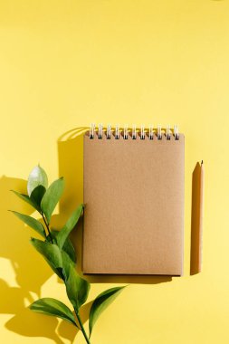 Boş kahverengi klasik defter, yapraklar, sarı çiçekler, kalem, sarı arka planda günlük. Minimalist iş yeri konsepti. Kopyalama alanı olan üst görünüm. Yaz düzlüğü
