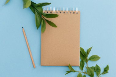 Boş kahverengi klasik defter, yapraklar, sarı çiçekler, renkli mavi masadaki kalem. Şık, minimalist iş yeri konsepti. Kopyalama alanı olan üst görünüm. Düz yatıyordu
