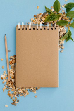Boş kahverengi klasik defter, yapraklar, sarı çiçekler, kalem, kalem, renkli mavi masadaki günlük. Şık, minimalist iş yeri konsepti. Kopyalama alanı olan üst görünüm.