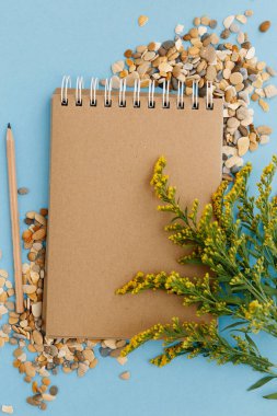 Boş kahverengi klasik defter, yapraklar, sarı çiçekler, kalem, kalem, renkli mavi masadaki günlük. Şık, minimalist iş yeri konsepti. Kopyalama alanı olan üst görünüm.
