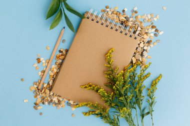 Boş kahverengi klasik defter, yapraklar, sarı çiçekler, kalem, kalem, renkli mavi masadaki günlük. Şık, minimalist iş yeri konsepti. Kopyalama alanı olan üst görünüm.
