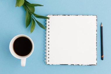 Boş beyaz defter, yapraklar, kalem, günlük, renkli mavi masada bir fincan kahve. Şık, minimalist iş yeri konsepti. Kopyalama alanı olan üst görünüm.