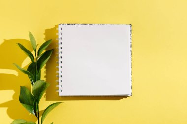 Beyaz, eski, boş bir defter, sarı arka planda yapraklar. Minimalist iş yeri konsepti. Kopyalama alanı olan üst görünüm. Yaz düzlüğü